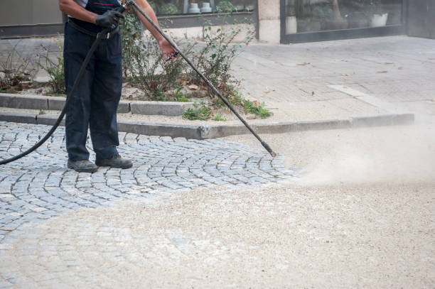 Best Dumpster Area Cleaning  in St George, SC